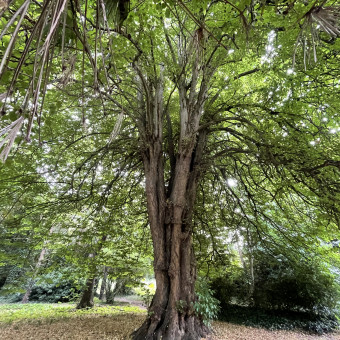 aquariophile Fan2carpes