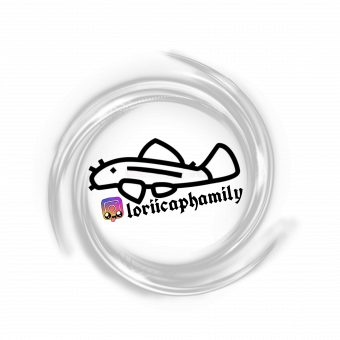 aquariophile Loriicaphamily