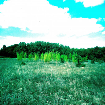 aquariophile ValentinPannes