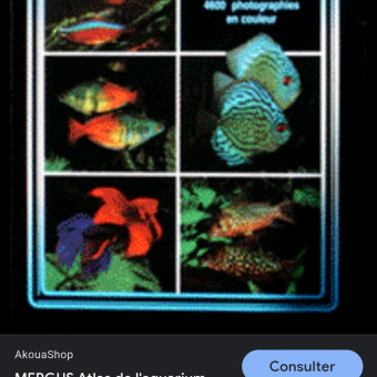 aquariophile Julien.76