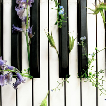 aquariophile Abxalom