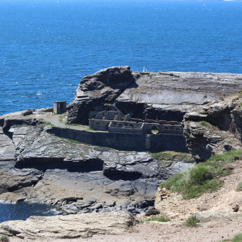 aquariophile camaretois