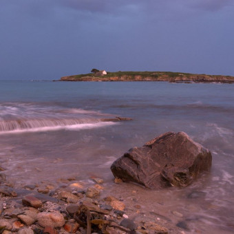 aquariophile mickael1701