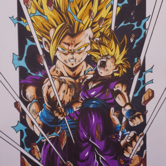 aquariophile Flow974