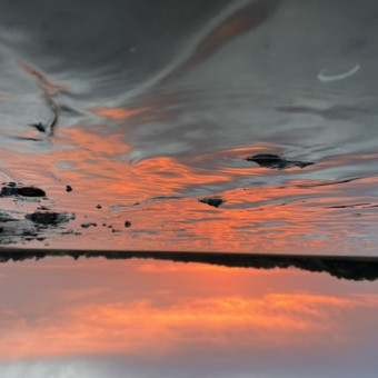 aquariophile Emocezz