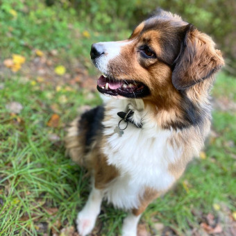 aquariophile BlandineLgrn