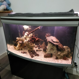 aquariophile AquaD