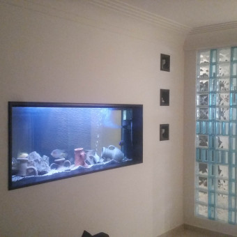 aquariophile aquazz