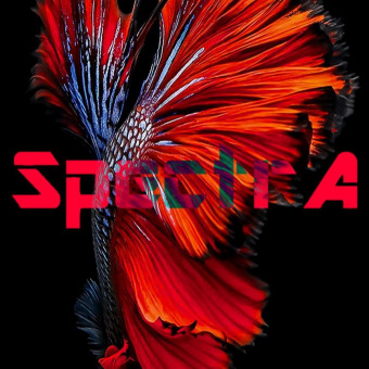 aquariophile Seb-Car62