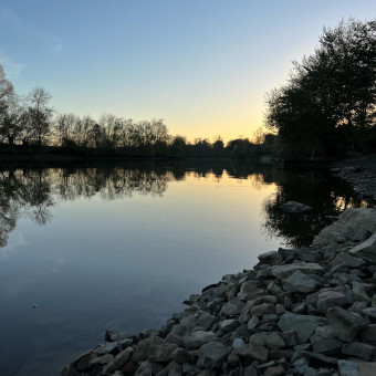 aquariophile Tatisane