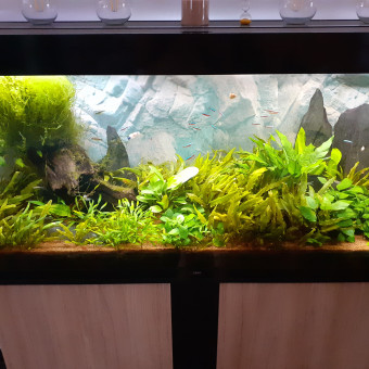 aquariophile Liquidnatrium