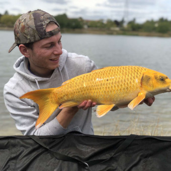 aquariophile Bob37250