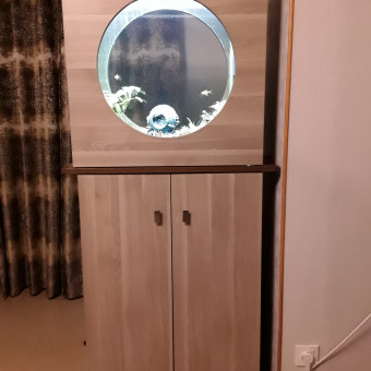 aquariophile Baggio