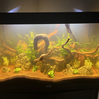 aquariophile Thierrygeuletoutletemps