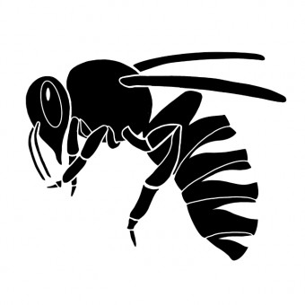 aquariophile Abeille_Noire