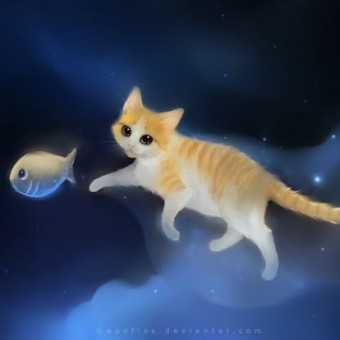 aquariophile piick1