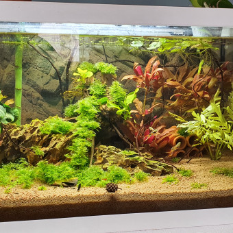 aquariophile Ehrakis