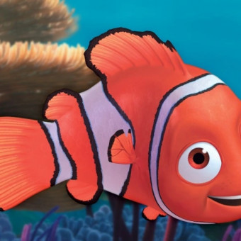 aquariophile Nuvoletta