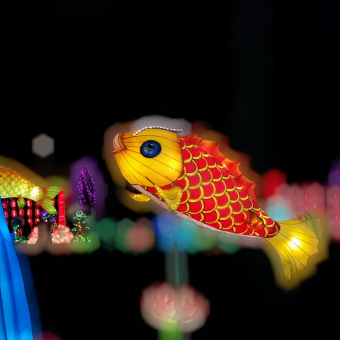 aquariophile Kalie32