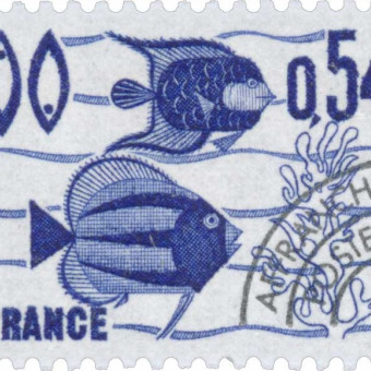 aquariophile Rabaud