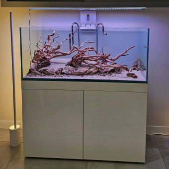 aquariophile mathc22