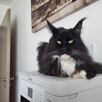 aquariophile Franck85