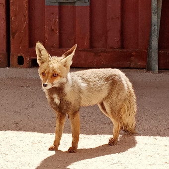 aquariophile Marc-Didierjean