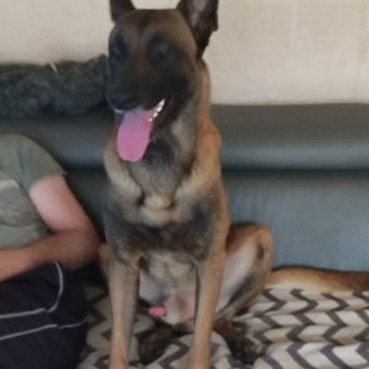 aquariophile Dodo1213