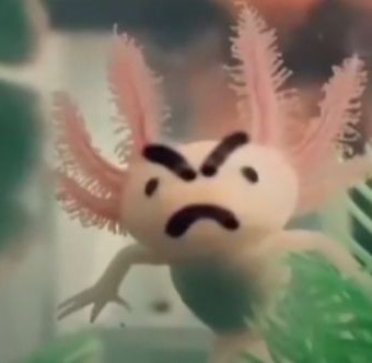 aquariophile LOrigamiDuCoeur