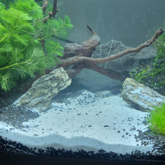 aquariophile Air_one