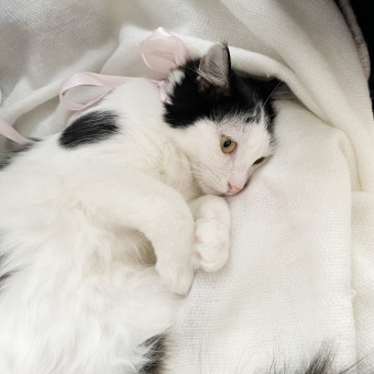 aquariophile flora.delise