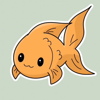 aquariophile Okapie