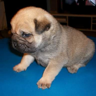 aquariophile sarah-gaelle