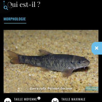 aquariophile aurore_thierree28