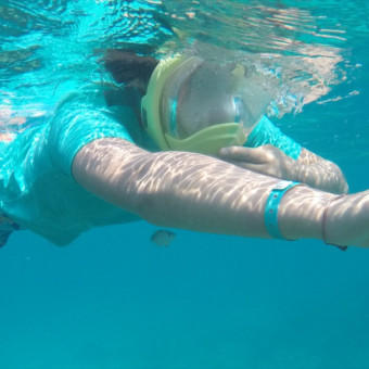 aquariophile LiquidPaper2008