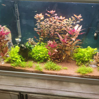 aquariophile Karth