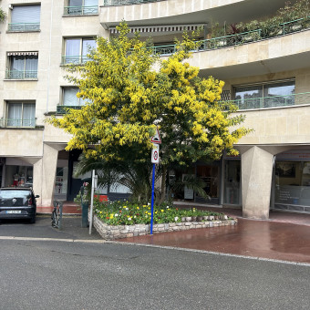 aquariophile Aquasim