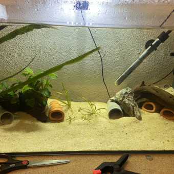 aquariophile Jeanremi