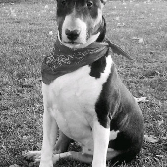 aquariophile Stephiou