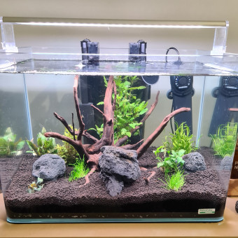 aquariophile JigSax
