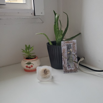 aquariophile Potee75