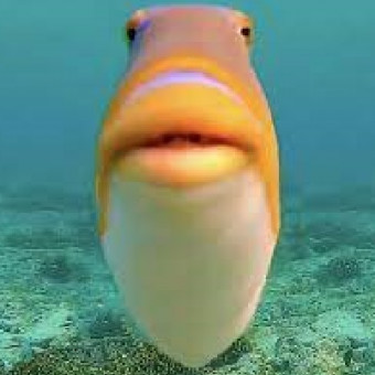 aquariophile P0ISS0N