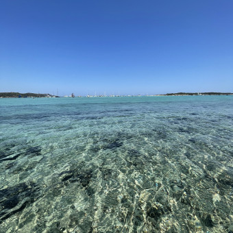 aquariophile Dorian_Girod