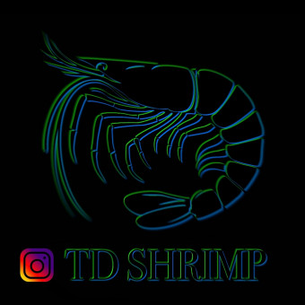 aquariophile Td.shrimp