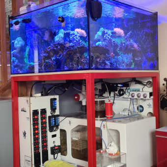 aquariophile Papoureef