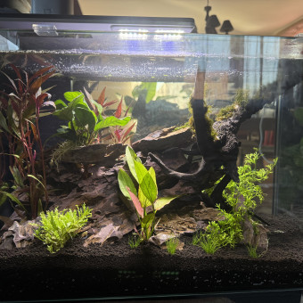 aquariophile Spirale68