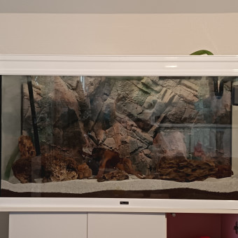 aquariophile Sinedis35