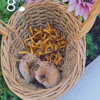 aquariophile cindy-herbrecht