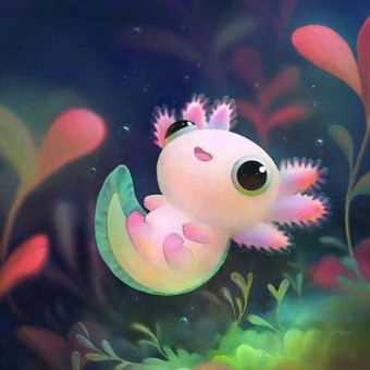 aquariophile Phimi999