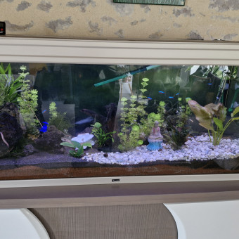 aquariophile Max53